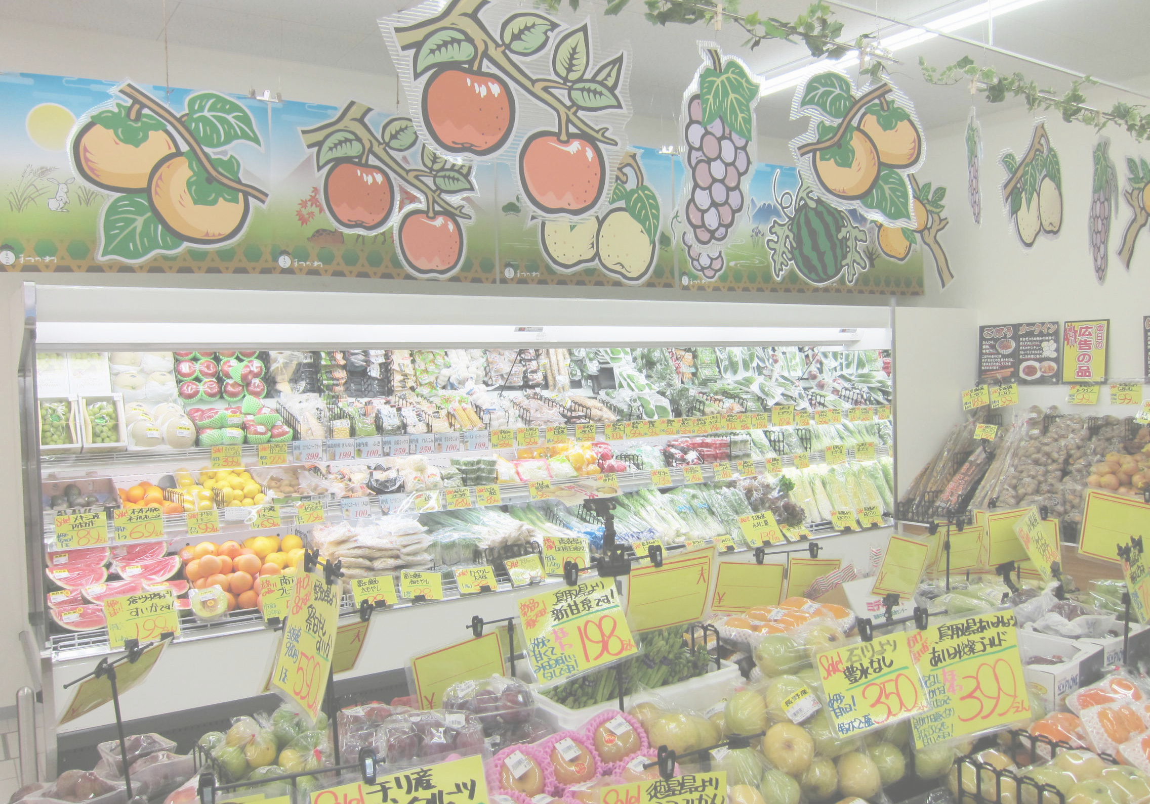 松川商店サンディ長居公園南店